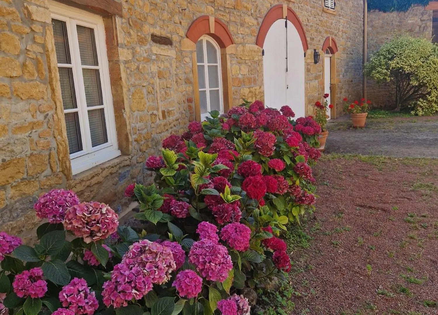 Domaine Des Franchises - Beaujolais Village - Charme Et Authenticite Au Coeur Des Pierres Dorees Denice Bed & Breakfast