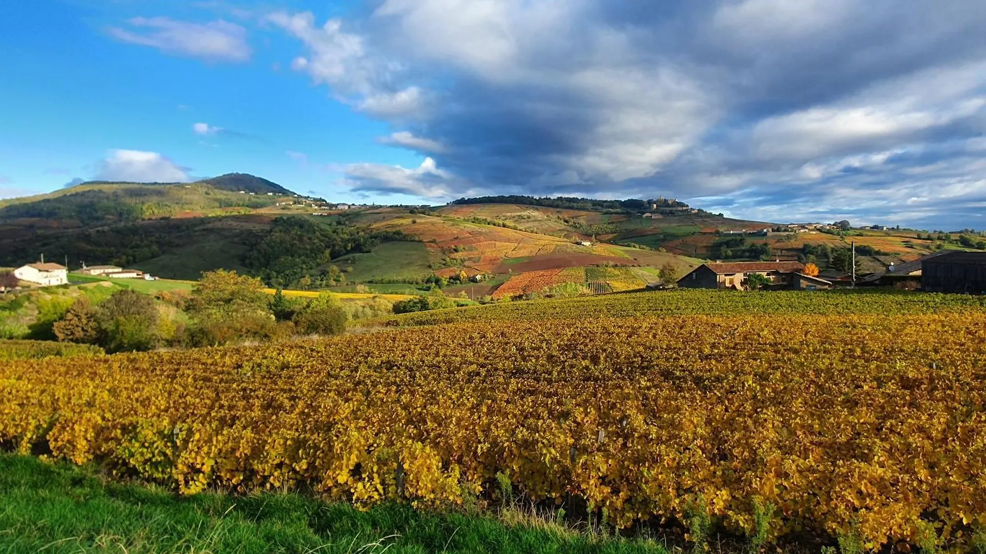 Domaine Des Franchises - Beaujolais Village - Charme Et Authenticite Au Coeur Des Pierres Dorees Denice France