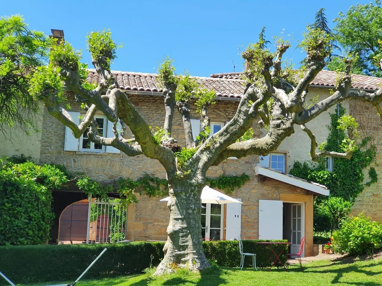 Bed & Breakfast Domaine Des Franchises - Beaujolais Village - Charme Et Authenticite Au Coeur Des Pierres Dorees Denice France