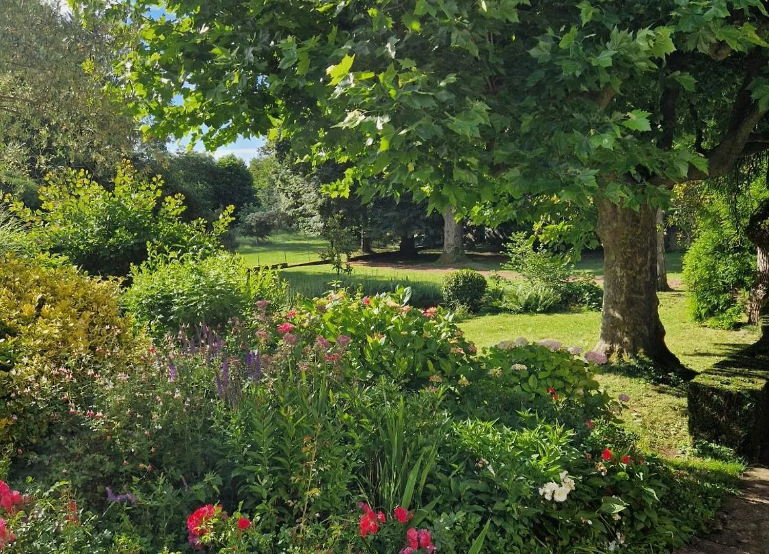 Bed & Breakfast Domaine Des Franchises - Beaujolais Village - Charme Et Authenticite Au Coeur Des Pierres Dorees Denice France