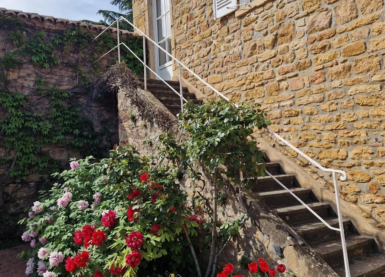 Domaine Des Franchises - Beaujolais Village - Charme Et Authenticite Au Coeur Des Pierres Dorees Denice Bed & Breakfast