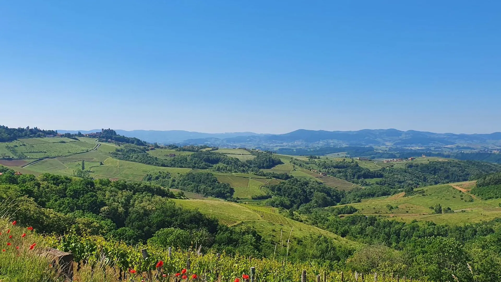 Domaine Des Franchises - Beaujolais Village - Charme Et Authenticite Au Coeur Des Pierres Dorees Denice Bed & Breakfast